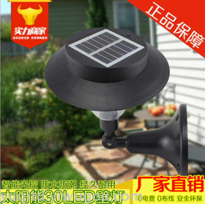 30LED solar energy solar garden lamp solar street lamp solar lawn outdoor lamp