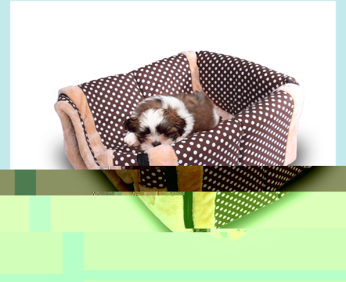 factory direct sales four seasons dual-use removable and washable pet bed  nest kennel fangfang