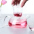 Heat-Resistant Glass Pot Short Mouth Pot Borosilicate Glass Scented Teapot Kung Fu Tea Set Electric Ceramic Stove Available