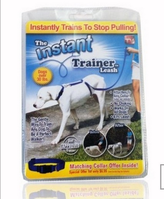 Dog Leash Dog Leash Pet Traction Belt Pet Chain Ring Pet Rope TV Shopping
