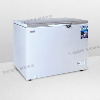 12V/24V AC solar DC freezer 230L