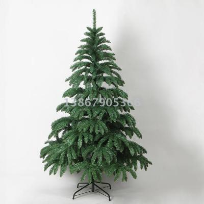 Christmas tree, tree, tree, pine tree, Christmas tree