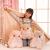 Wholesale Cute Little Hamster Pillow and Blanket Quilt Dual-Use Three-in-One Air Conditioning Blanket Hot Toys