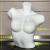 Haoyan Model Paint Women's Breast Mould Bright Underwear Half-Body Model