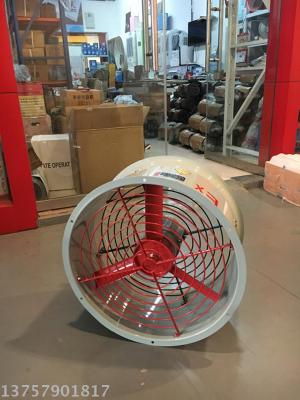 Explosion proof axial flow fan