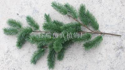 Simulation of plant four fork Abies spruce Metasequoia Qinling Mountains fir larch in Xingan red fir fir wholesale