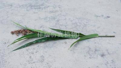 Simulation of sorghum leaves single stem sorghum false plant false leaves engineering museum set shooting wholesale