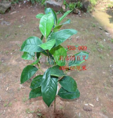 Simulation of high-feng leaf project 5 fork alpine ficus evergreen ecological plant fake tree leaves banyan leaves