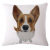 Hot style star dog pillow sofa cushion cover waist pillow pillow nap pillow