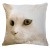 Personality cute cat pillow home sofa pillow car cushion