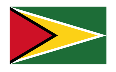 Guiana Flag, Flag, Flag, Car Flag, String Flags, Hand Signal Flag, Table Flag, String Flags, Scarf