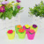 New Exotic Water-Soaking Expansion Plant Four Seasons Dream Flower Expansion Pot Large Pot Toy Stall Hot Sale
