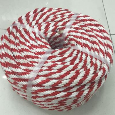 Inverted Woven Flower Rope