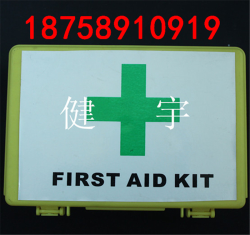 Supply Plastic First Aid Box Home Storage Box Outdoor Travel Car Emergency Box Foreign Trade Wholesale 