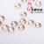 SS12 Champagne Bottoming Drill Swarovski Boutique Diamond Manicure Jewelry Wholesale