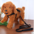 Pet Supplies Foam Chest and Back Traction Belt Set Dog Hand Holding Rope Wholesale Dog Leash Factory Direct Sales