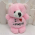 Embroidery heart bear love bear plush small pendant preorder