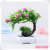 Characteristic simulation bonsai mini simulation plant popular simulation plant direct sales