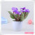 Simulation of miniature flowers Simulation plant bonsai manufacturers direct Simulation of flower pot