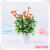 Juanjuan flower factory miniascape simulation flower miniature potted simulation flower decoration flower