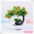 Characteristic simulation bonsai mini simulation plant popular simulation plant direct sales