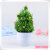 Potted simulation flower plant bonsai simulation flower factory direct simulation flower