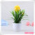 Simulation flower popular manufacturers direct bonsai Simulation flower pot Simulation flower plants