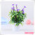 Juanjuan flower factory miniascape simulation flower miniature potted simulation flower decoration flower