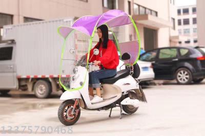 Electric car awning shade umbrella battery car rain canopy windshield rainbow with a wing factory direct