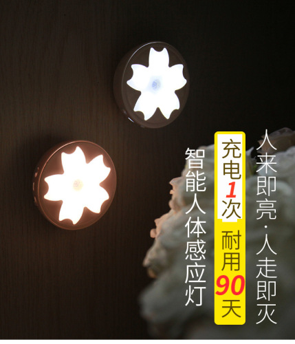 foreign trade exclusive for small lotus light control double induction rechargeable led small night lamp
