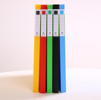 Office folder plastic color printing folder Office supplies