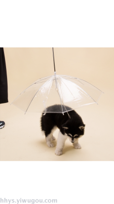 Pet dog umbrella transparent umbrella, Dog umbrella, Transparent umbrella, Advertising umbrella, Birdcage umbrella, umbrella umbrella