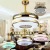 Factory direct ceiling fan LED lights fashion household fan light simple fan with chandelier spot