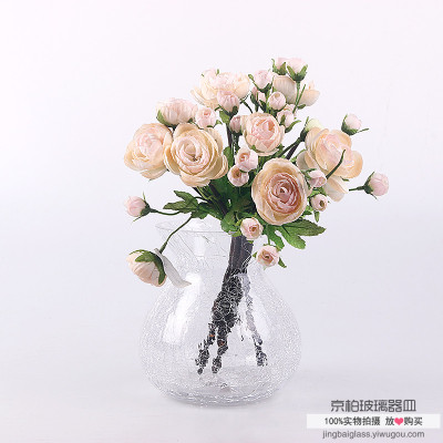 Ice flower Glass Vase Crack hydroponics Crystal Glass flower device Ice Flower Souvenir