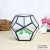 Geometric glass greenhouse multi-meat creative polyhedron glass micro-landscape plant containers