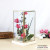 Creative DIY eternal flower dry flower birthday gift box micro landscape glass cover empty vase