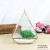 Nordic style geometric glass greenhouse eternal flower micro-landscape pieces of glass ware