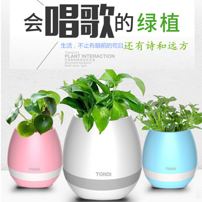 Musical Flower Pot Smart Bluetooth Audio Colorful Light Real Plant Can Play Piano Green Plant Pot Mini Subwoofer Sound Box