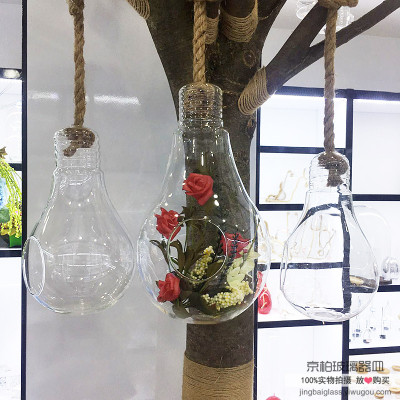 Creative small fleshy flower pots hanging of clear glass vase bottle DIY micro-landscapes