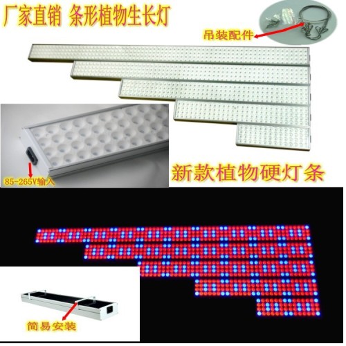 foreign trade exclusive for 1.2 m 72w red and blue smd led plant light