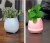 Smart music flower pot bluetooth stereo flower pot speaker will sing the flower pot