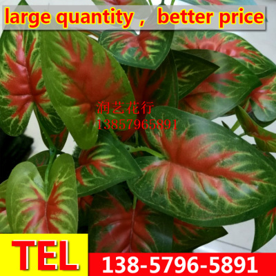 Manufacturers of customized red taro taro leaves red branch simulation
