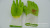 Factory direct selling hand protection green rib PVC gloves imported rubber gloves.