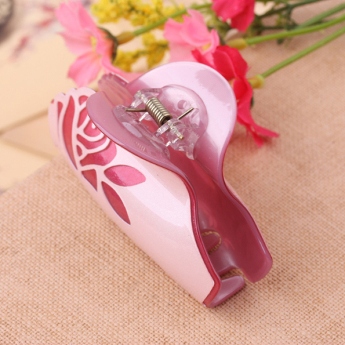 Acrylic Hair Clip Hair Clip Hair Clip Clip Bath Large Hair Clip Hair Accessories 10 Yuan Store Supply