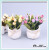 Potted decoration decoration false garden small fresh ceramic leaves shooting props simulation plant bonsai