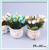 Potted decoration decoration false garden small fresh ceramic leaves shooting props simulation plant bonsai