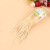 Male dried bamboo wood environmental non - toxic household toothpick bamboo tip double - head toothpick can.