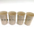 Plastic Tea Cups Toothbrush Wheat Water Cup Mugs XG177 901