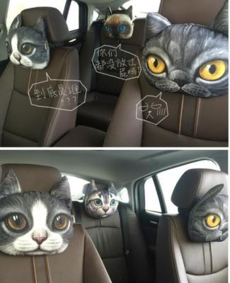 The Cat star car pillow with a pair of neck pillows
