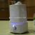 AIR  PURIFIER HUMIDIFIER（butterfly）
